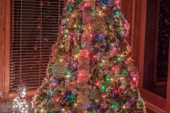 IMG_6731