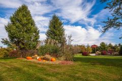 IMG_5413