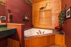Gobbler's Knob Suite Whirlpool