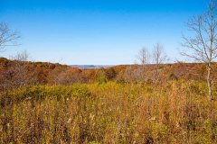 IMG_5713