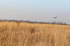 IMG_7539