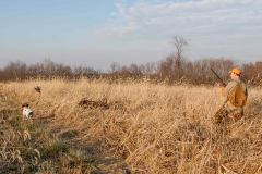 IMG_7593
