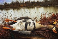 263362816_6847766015263697_6421969359984024720_n