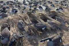 271599314_7067370969969866_454418058329490723_n