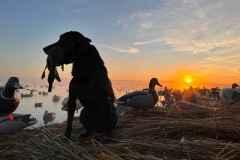 312656557_8550489598324655_3369886772058868130_n