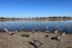 313815246_796171588338258_1108160555800816038_n