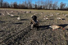 317370788_667121241569718_1147793921196135929_n