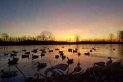 52898364_10216488591718970_5460767749670174720_n