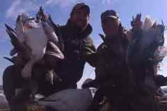Snow-Goose-Hunting-Illinois-River