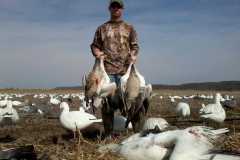 Snow-Goose-Hunting