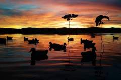 Waterfowl-Decoy-Setup-Sunrise