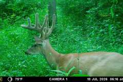 MOULTRIE DIGITAL GAME CAMERA