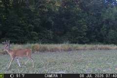MOULTRIE DIGITAL GAME CAMERA