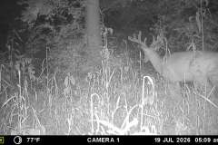 MOULTRIE DIGITAL GAME CAMERA
