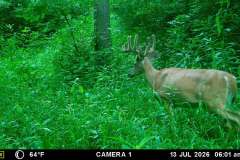 MOULTRIE DIGITAL GAME CAMERA