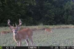 MOULTRIE DIGITAL GAME CAMERA