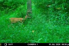 MOULTRIE DIGITAL GAME CAMERA