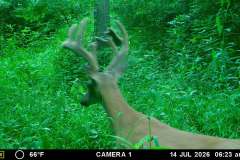 MOULTRIE DIGITAL GAME CAMERA