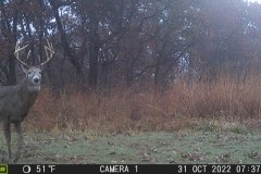 IMG_0148