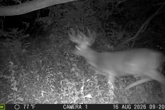 MOULTRIE DIGITAL GAME CAMERA