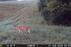 MOULTRIE DIGITAL GAME CAMERA