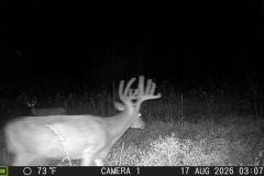 MOULTRIE DIGITAL GAME CAMERA