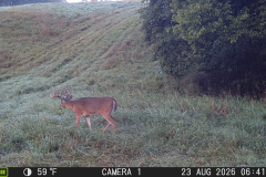 MOULTRIE DIGITAL GAME CAMERA