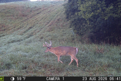 MOULTRIE DIGITAL GAME CAMERA