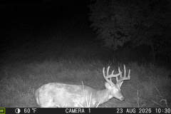 MOULTRIE DIGITAL GAME CAMERA