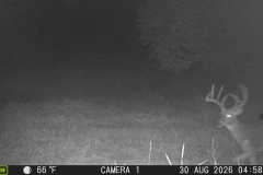 MOULTRIE DIGITAL GAME CAMERA
