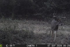 MOULTRIE DIGITAL GAME CAMERA