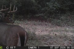 MOULTRIE DIGITAL GAME CAMERA