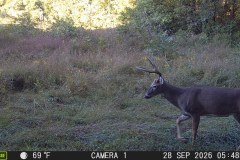 MOULTRIE DIGITAL GAME CAMERA