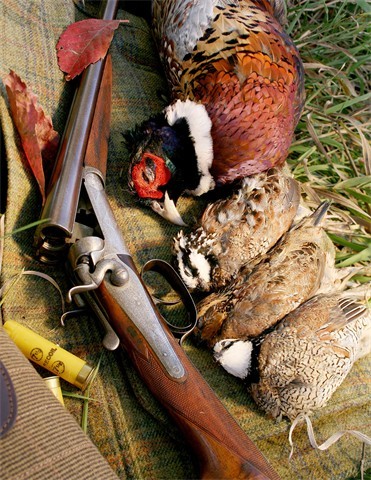 A・B・フロスト、「QUAIL SHOOTING: A DEAD STAND」 Quail Shooting: A Dead Stand Artwork By Arthur B. Frost Oil