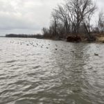 Duck hunting decoy set up and blind on the river.
