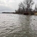 Duck hunting decoy set up and blind on the river.