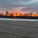 Morning sunrise over the duck pit.