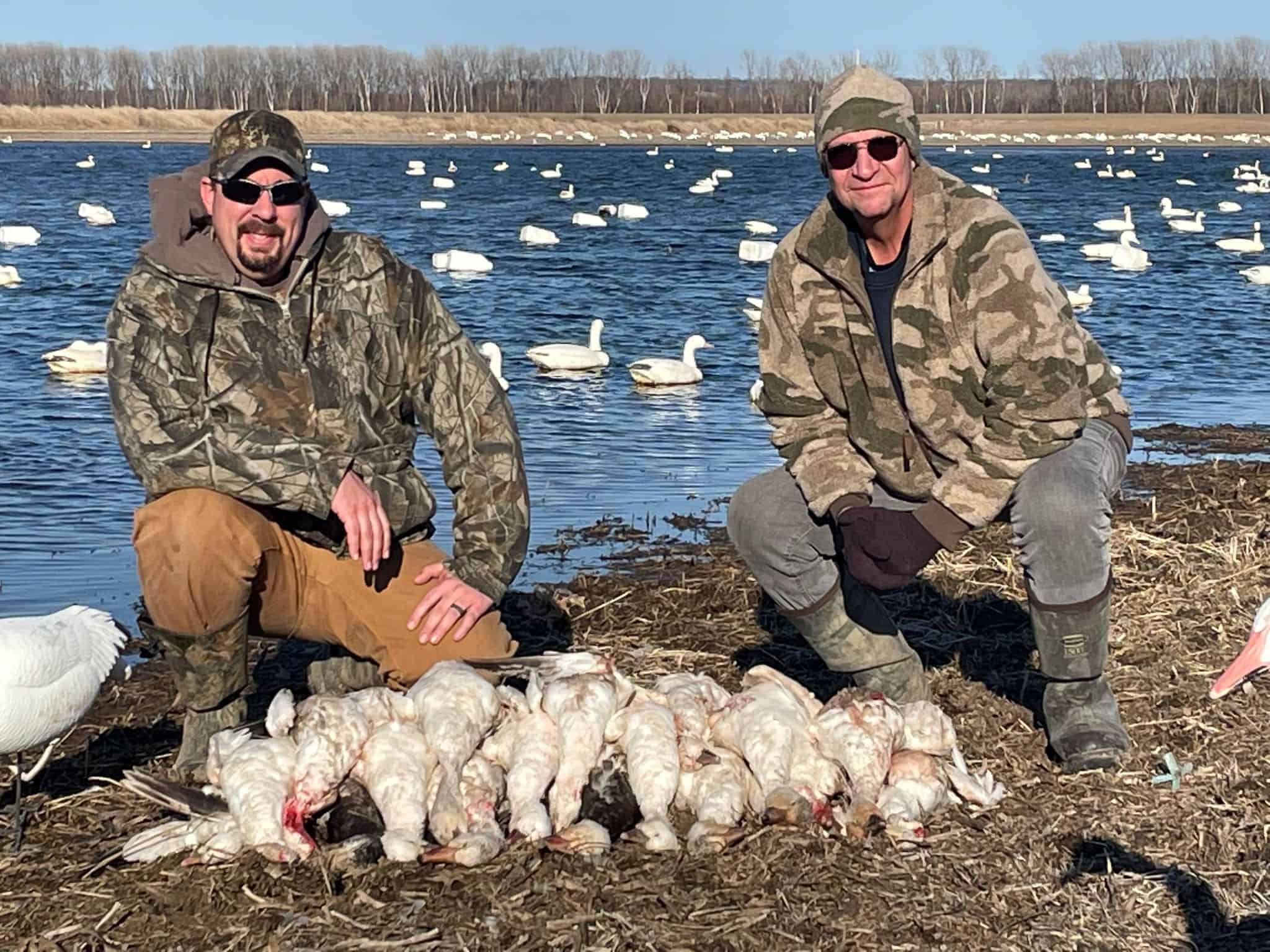 Snow goose hunting in March
