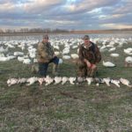One of the snow goose blind set ups