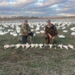 One of the snow goose blind set ups