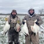 A great day of snow goose hunting!