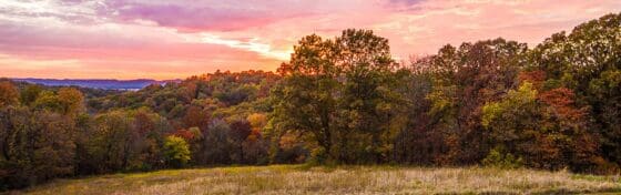Pike County Landscape