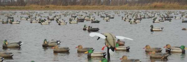 Canada Goose Hunting Outfitters Heartland Lodge