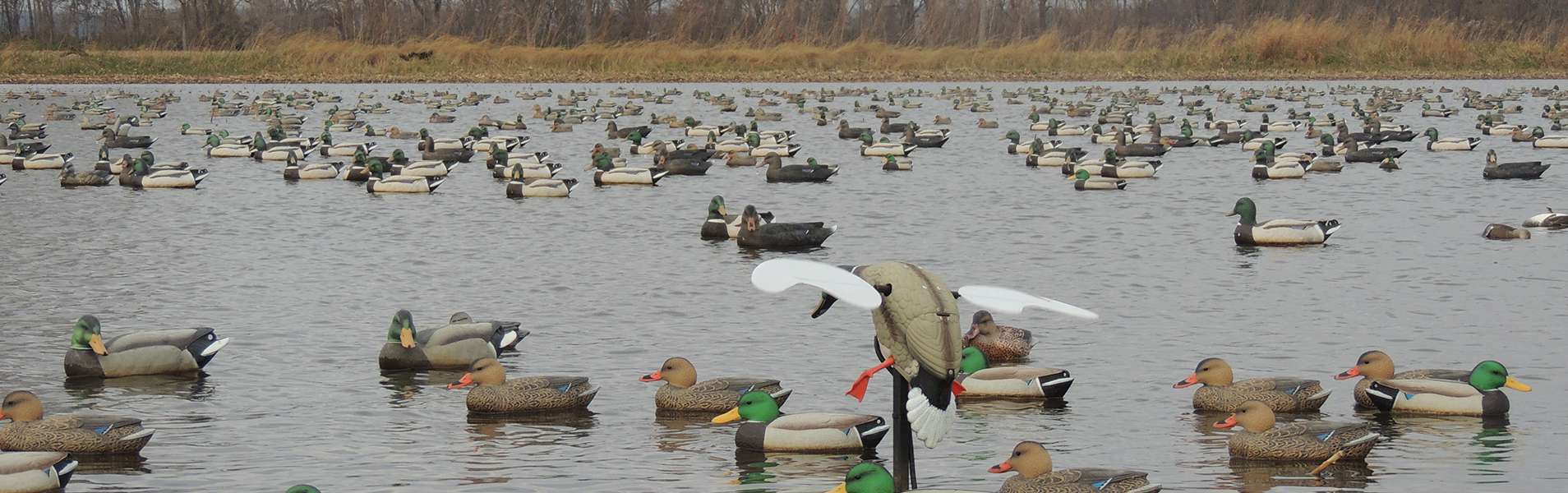 How do you get waterfowl hunting reports?