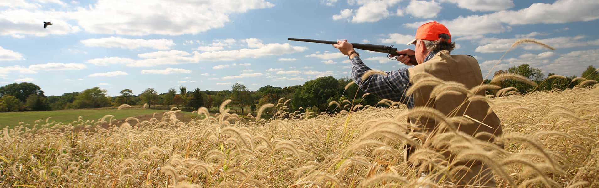 guy in field shooting