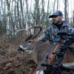 Mature Whitetail!