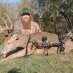 Whitetail