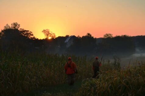 Pheasant hunters heading out to upland hunt for the day