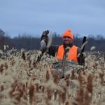 Pheasant Hunting in Illinois