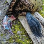 Turkey Hunting tips and tactics